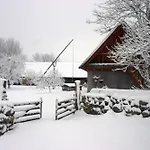 Anni Tourism Farm Tammese