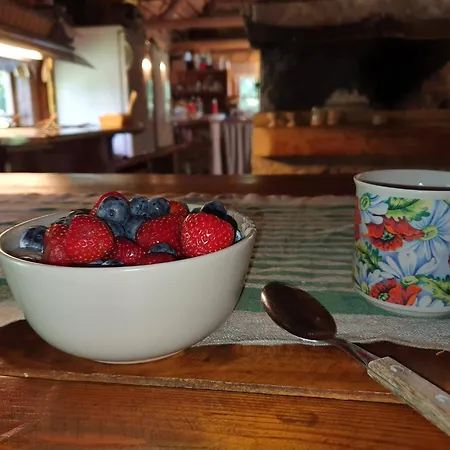 Anni Tourism Farm Bauernhof