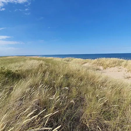 Anni Tourism Farm * Tammese