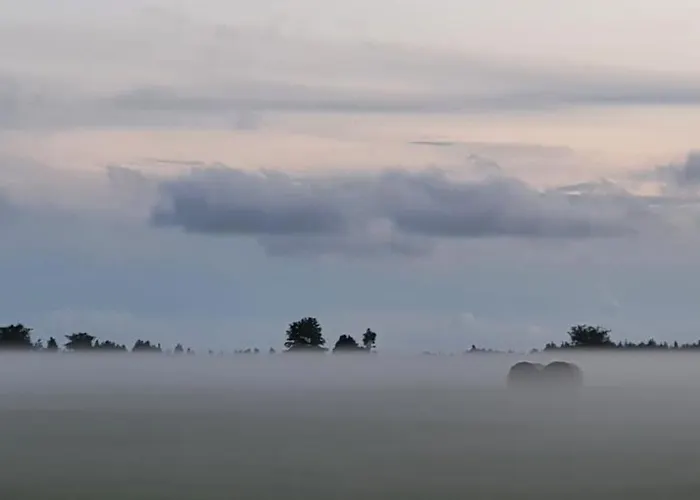 Lantgård Anni Tourism Farm Tammese