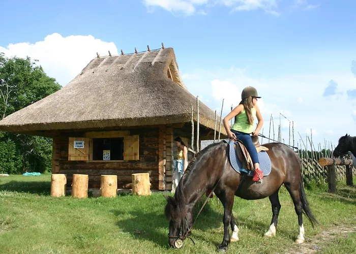 Anni Tourism Farm * Tammese