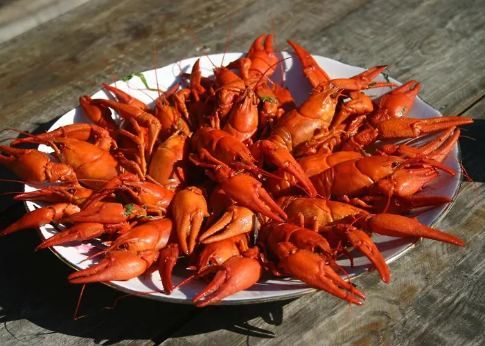 Majutus talus Anni Tourism Farm *