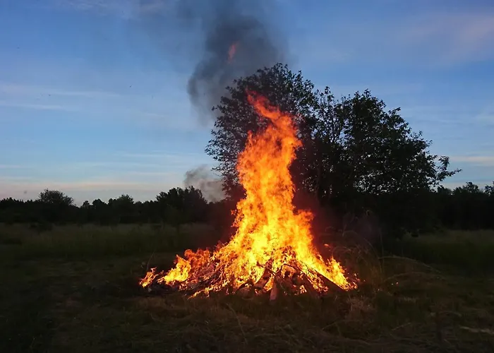 Anni Tourism Farm Majutus talus Tammese