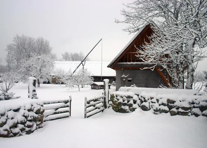 Anni Tourism Farm Tammese